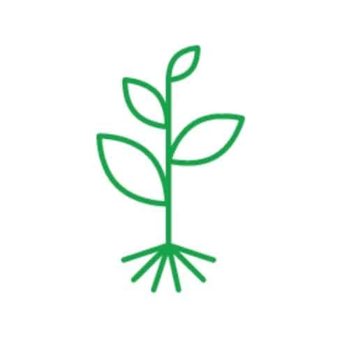 icon for growth